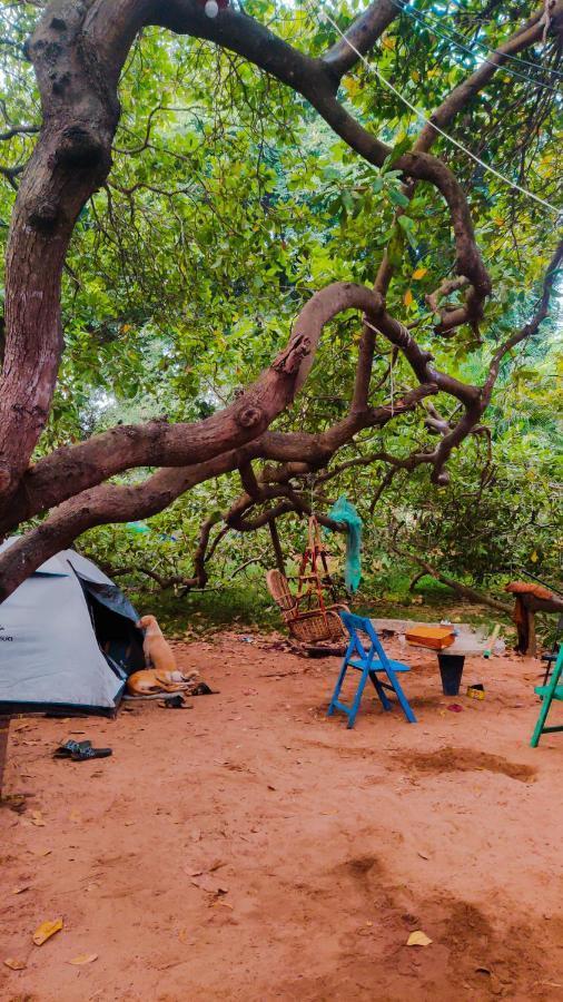 Hostel Peace Garden Auroville Exterior foto