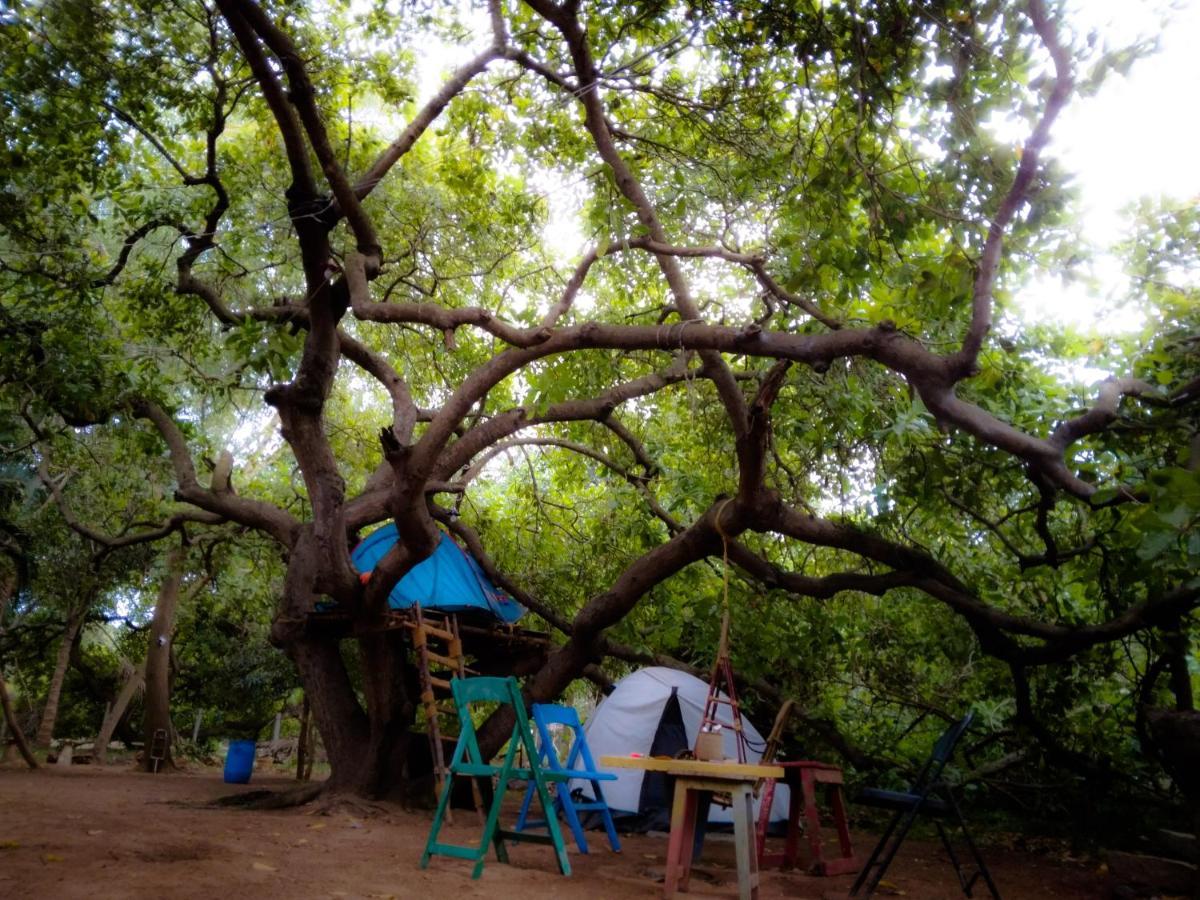 Hostel Peace Garden Auroville Exterior foto